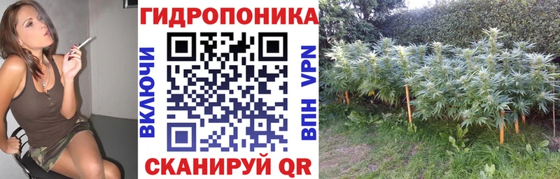Каннабис Amnesia OMG маркетплейс Сосновоборск